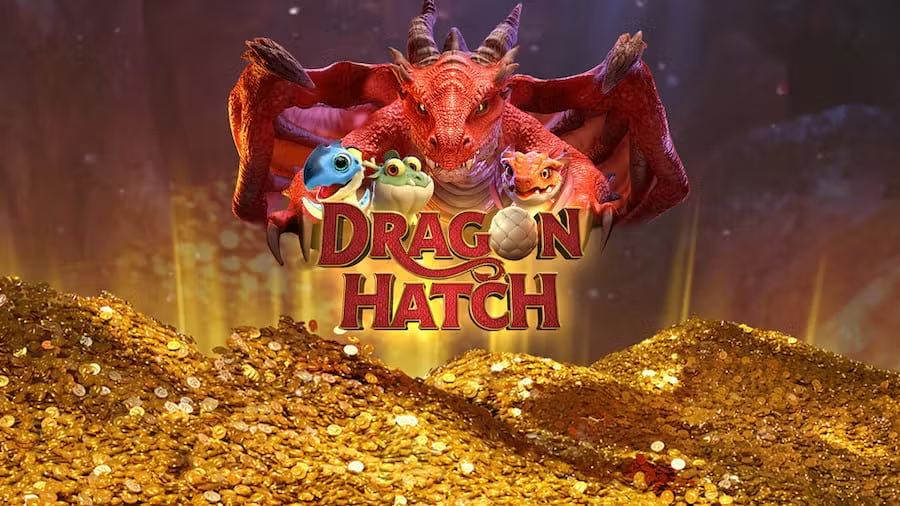 O melhor horário para jogar Dragon Hatch