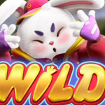 Fortune Rabbit wild